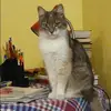 Отзыв от Елизавета Агафонова